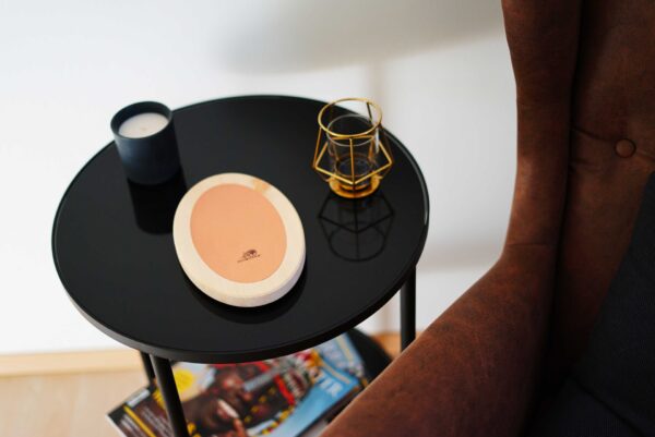 BG-Gross-4-Web.jpg Schumann Bodyguard Home&Office