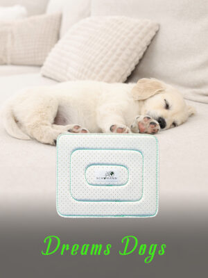 Dremas-Dogs SCHUMANN DREAMS DOGS