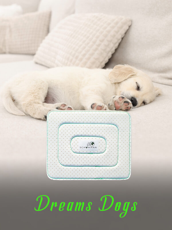 SCHUMANN DREAMS DOGS